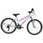 Energy Παιδικό Ποδήλατο Galaxy 20'' Girl Ασημί