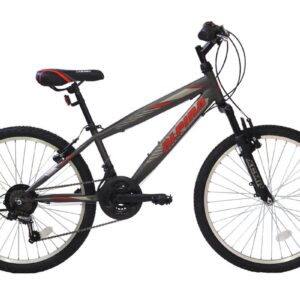 Alpina_MTB_shimano_24-26_gray-red_slide-1-1120x800w