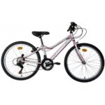 Energy Γυναικείο Ποδήλατο Βουνού Thunder 26" Pink Matt 21 Speed Shimano