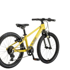 P202A09251-BIC.POLAR-FUZZY-20-yellow-grey-25-2-3-1-scaled