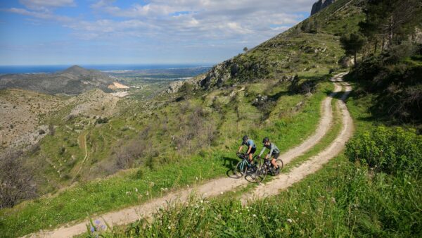 Cube Ποδήλατο Gravel Nuroad Race cappuccino´n´black