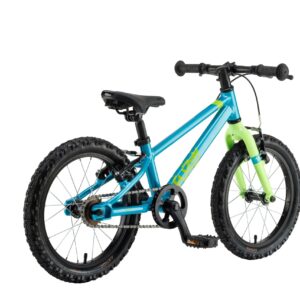 P162A08251-BIC.POLAR-FUZZY-16-blue-lime-25-1-1-scaled