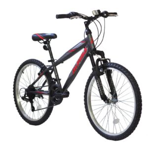 Alpina Alpha Shimano 24'' Παιδικό Ποδήλατο