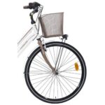 Lombardo Basket