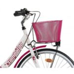 Lombardo Basket