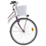Lombardo Basket